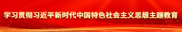 啪干逼学习贯彻习近平新时代中国特色社会主义思想主题教育